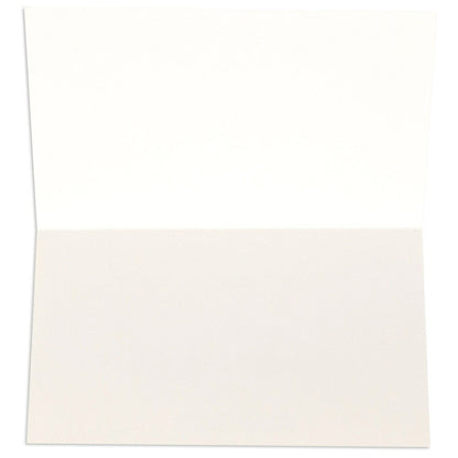 Little World Changers Assorted Blank Mini Note Cards - Pack of 12