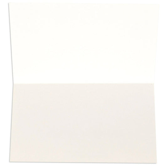 Little World Changers Assorted Blank Mini Note Cards - Pack of 12