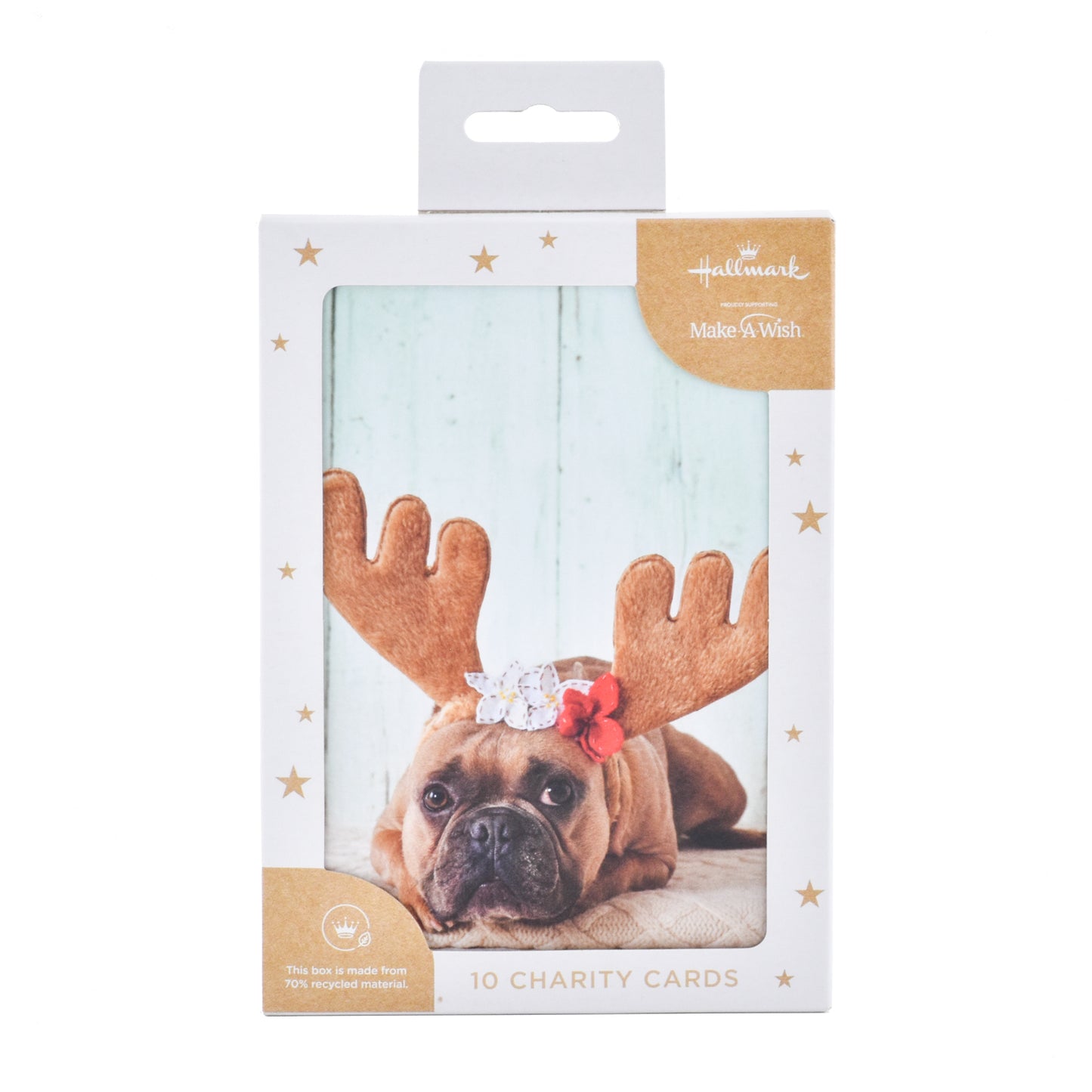 Hallmark Boxed Christmas Cards – Festive Cat and Dog