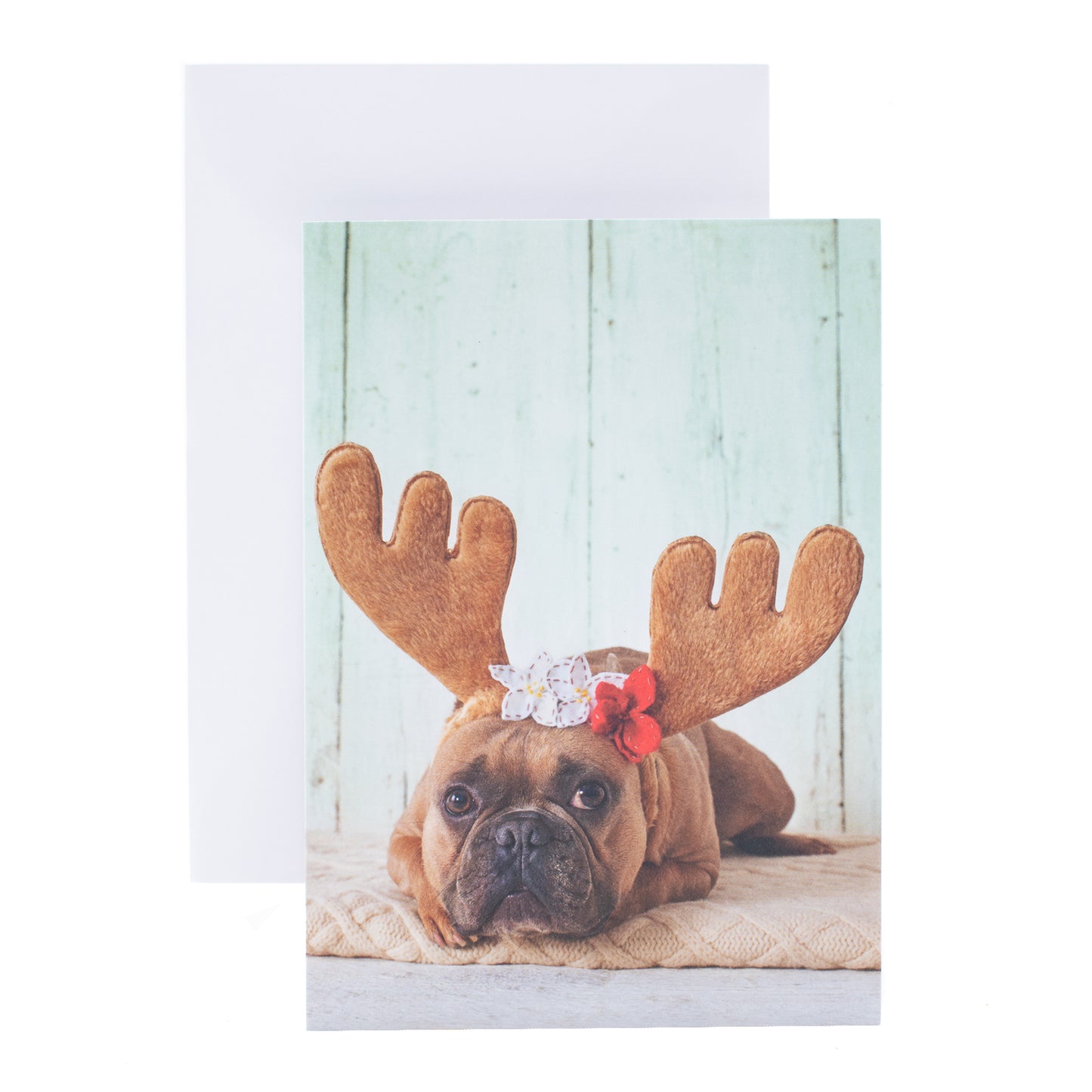 Hallmark Boxed Christmas Cards – Festive Cat and Dog