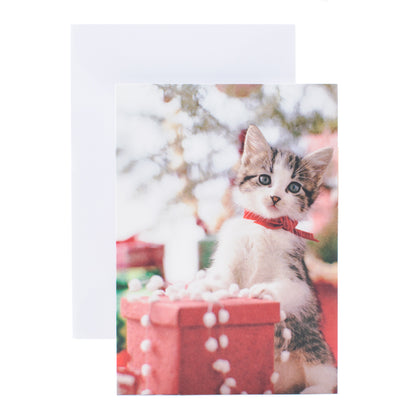 Hallmark Boxed Christmas Cards – Festive Cat and Dog