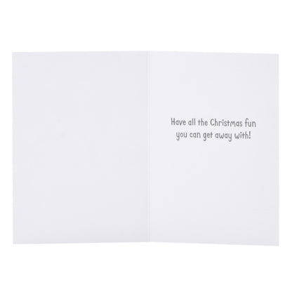 Hallmark Boxed Christmas Cards – Festive Cat and Dog