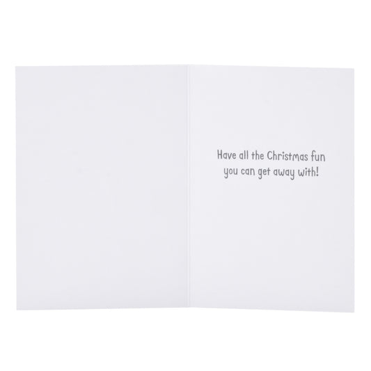 Hallmark Boxed Christmas Cards – Festive Cat and Dog