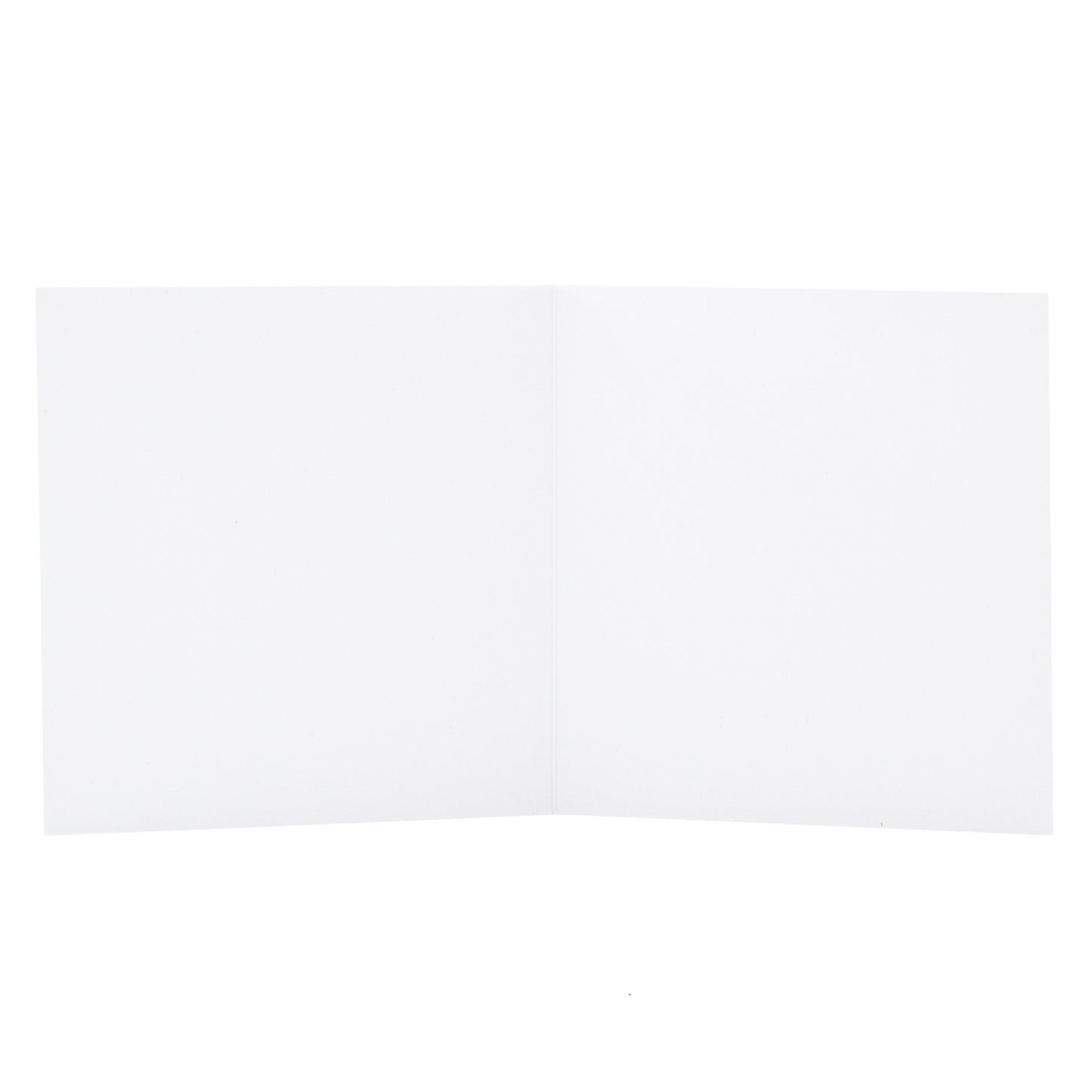 Hallmark Christmas Card - Floral Native Joy by Leah Bartholomew, blank interior for personal messages, flat lay view