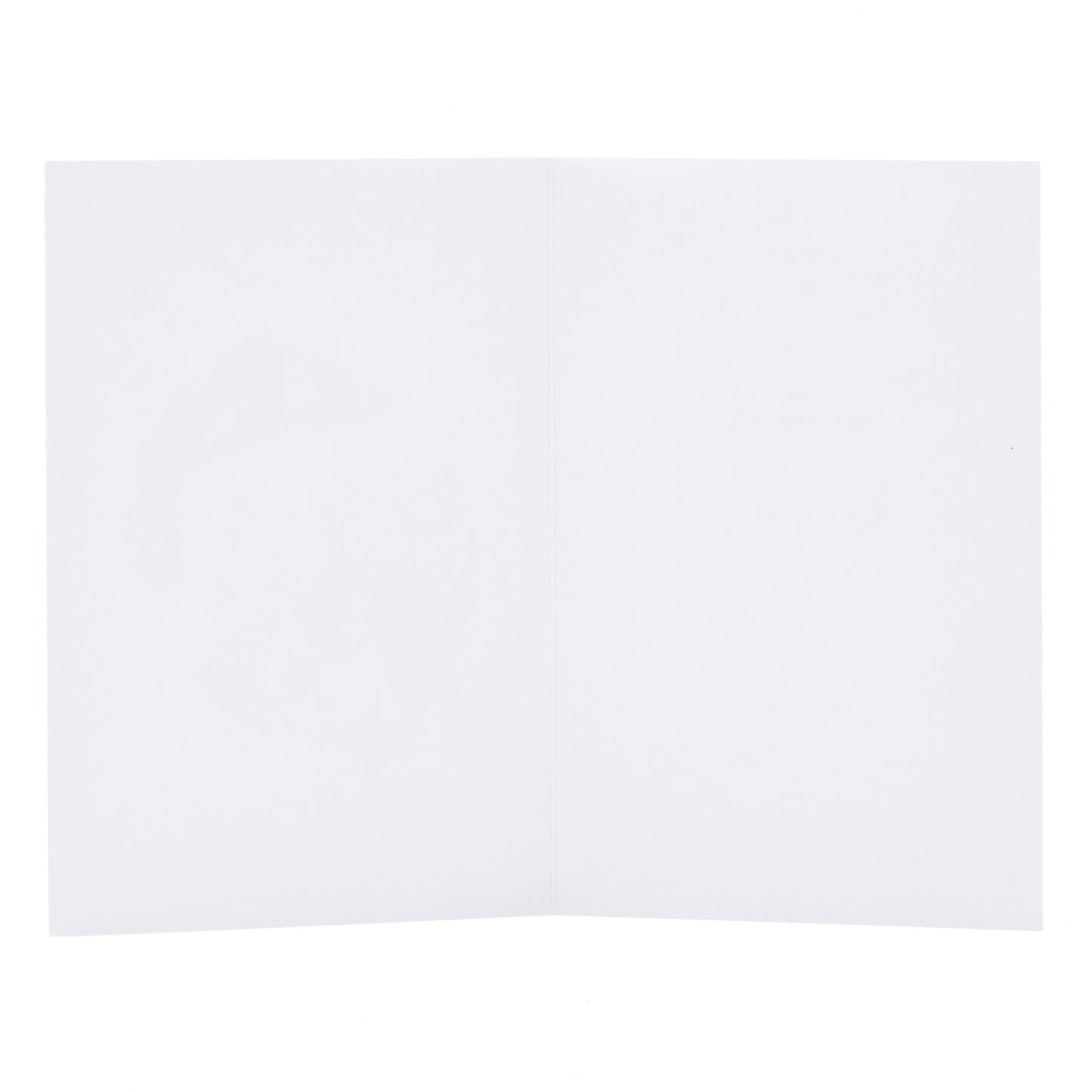 Hallmark Christmas Card  - Festive Echidna by Sharryn O'Brien