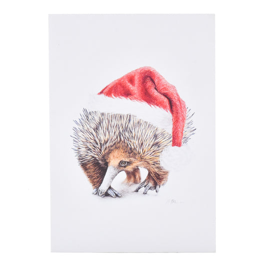 Hallmark Christmas Card  - Festive Echidna by Sharryn O'Brien
