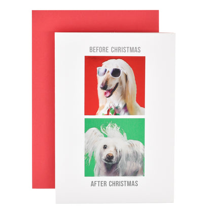 Hallmark Christmas Card  - Before & After Dog