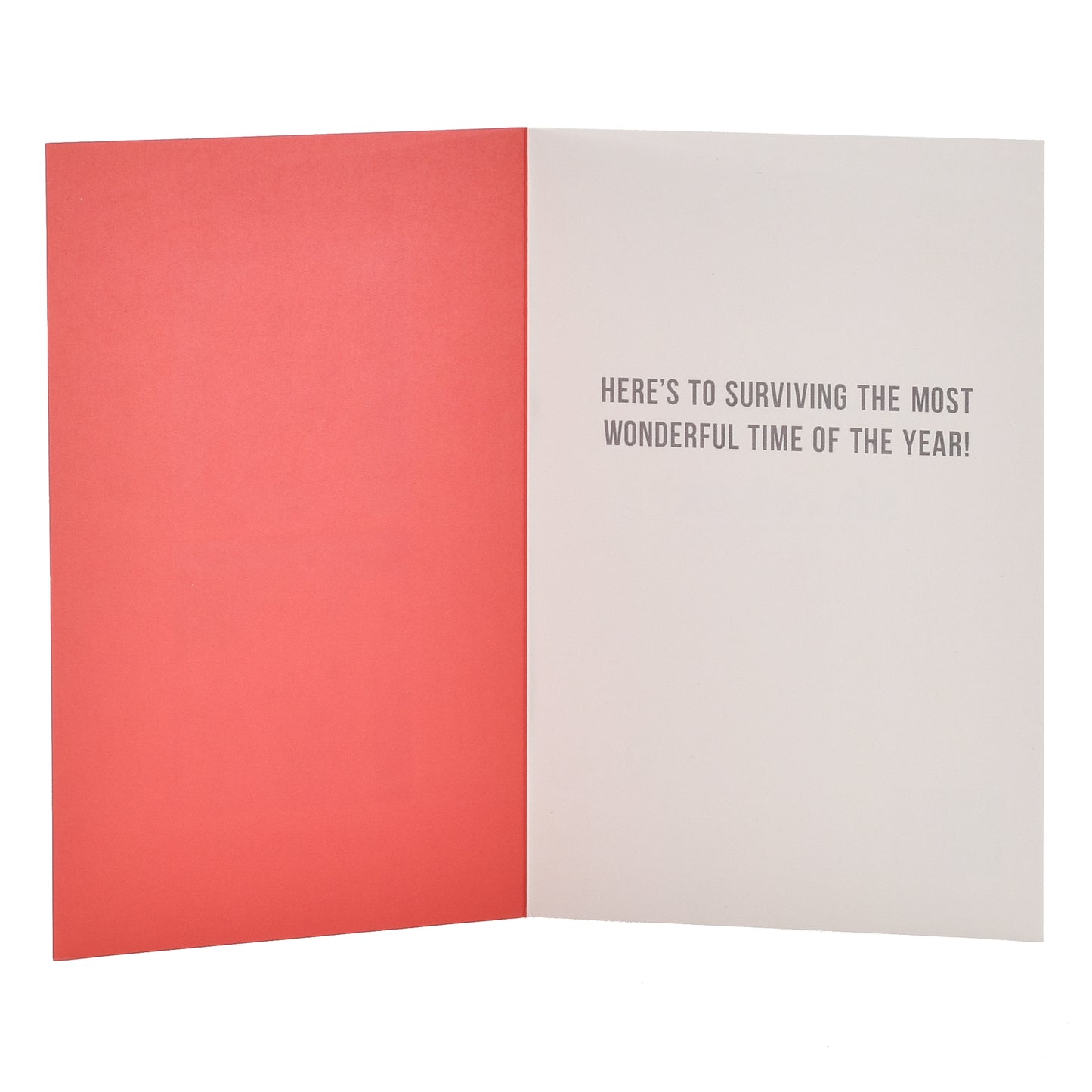 Hallmark Christmas Card  - Before & After Dog