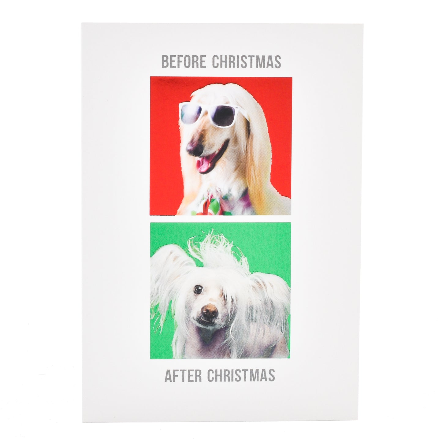 Hallmark Christmas Card  - Before & After Dog