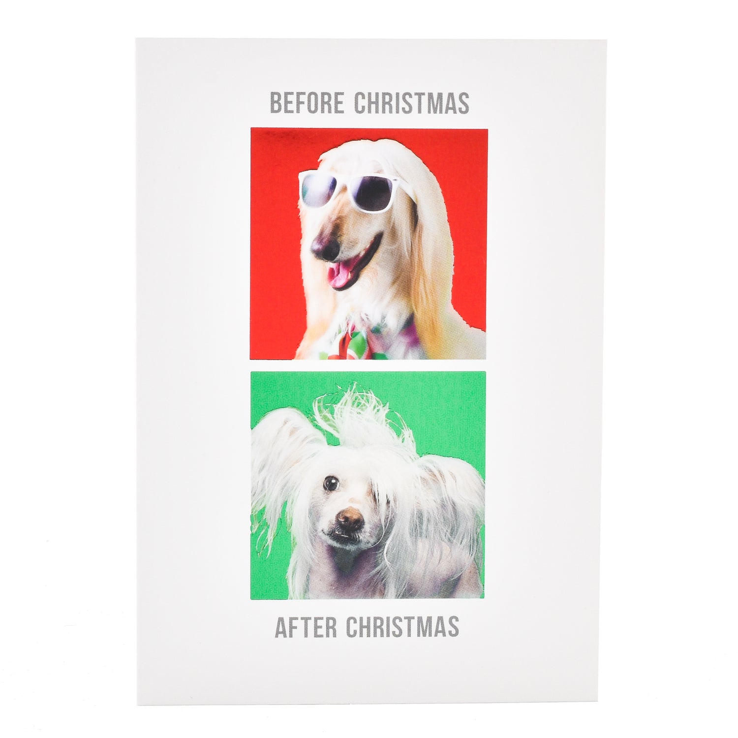 Hallmark Christmas Card - Before & After Dog with a slick dog in sunglasses above and a frazzled dog below on a festive background.