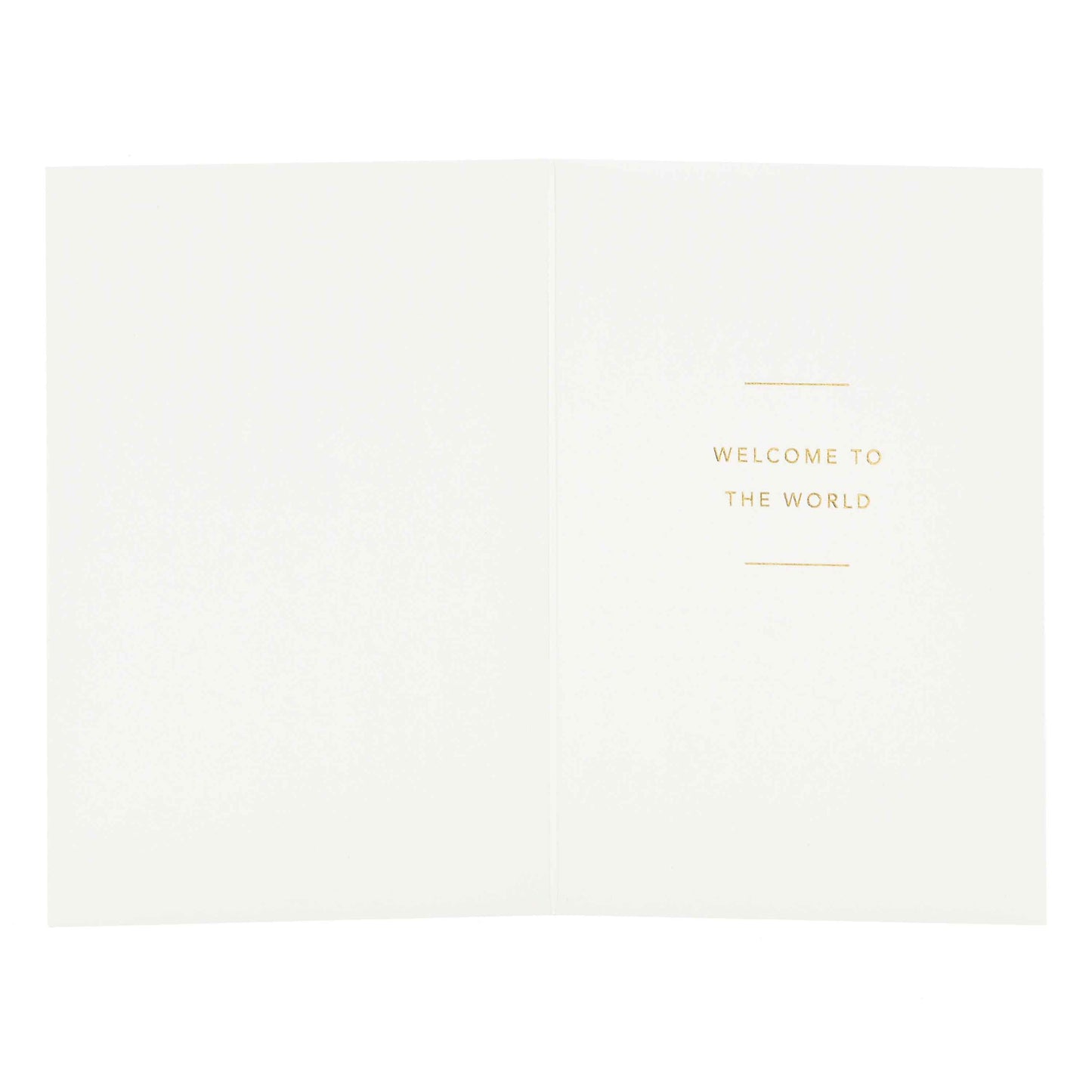 Signature Studio New Baby Card - Welcome Little One! open view showing embossed message 'WELCOME TO THE WORLD' in gold foil highlights