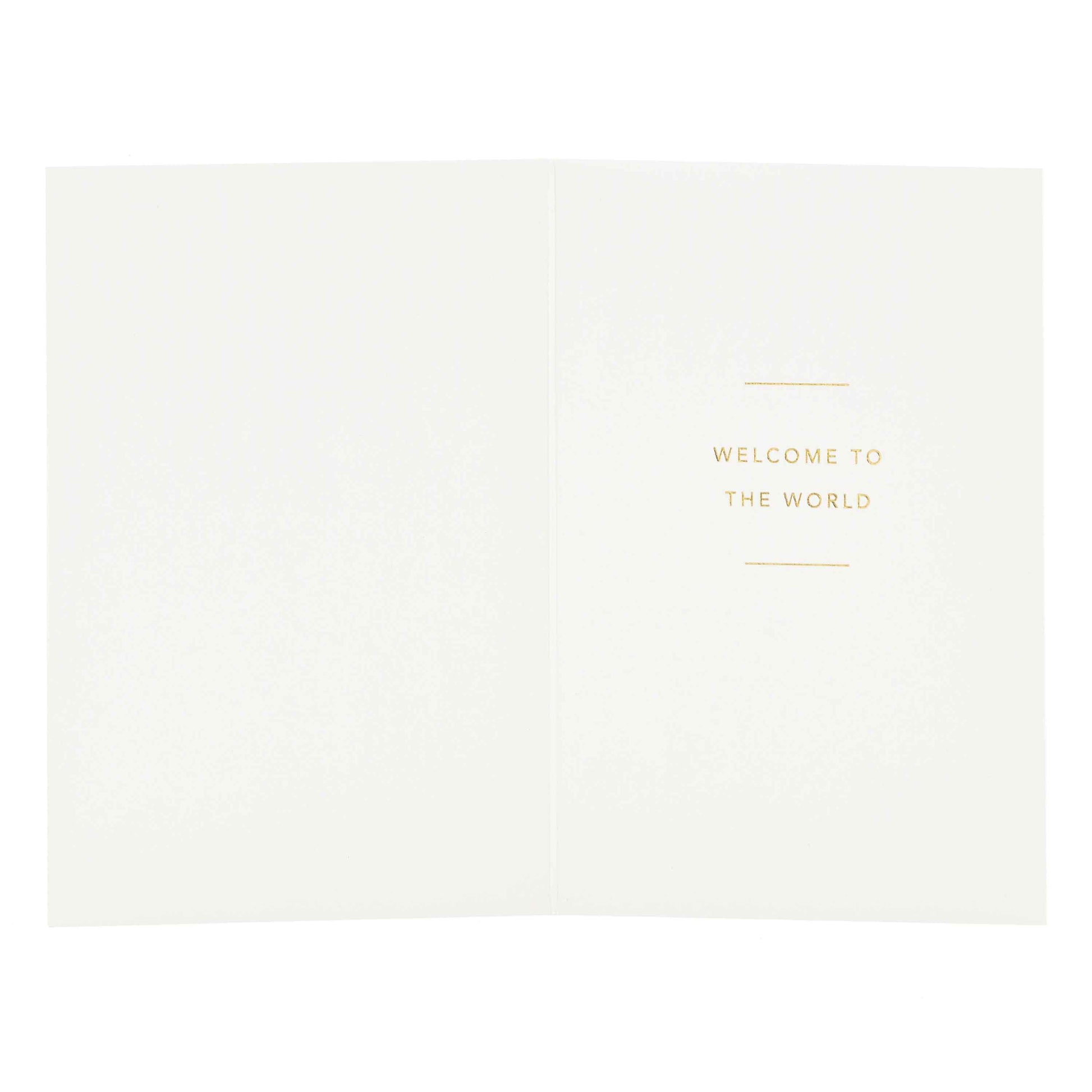 Signature Studio New Baby Card - Welcome Little One! open view showing embossed message 'WELCOME TO THE WORLD' in gold foil highlights