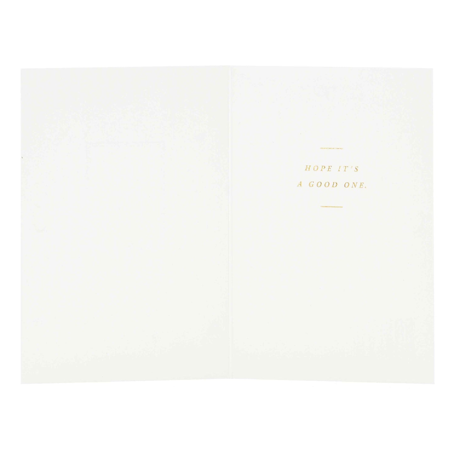 Signature Studio Greeting Card - It's Your Day!