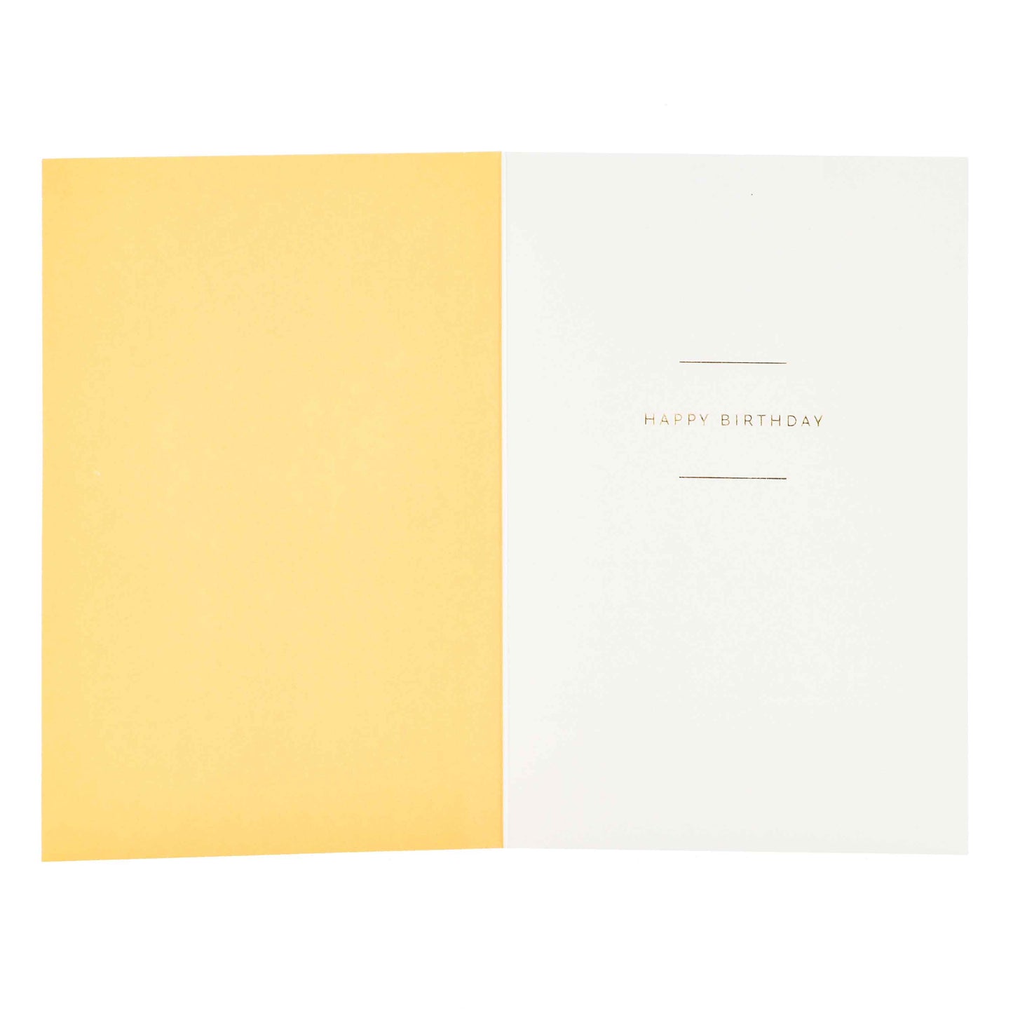 Signature Studio Birthday Card - A Million Reasons