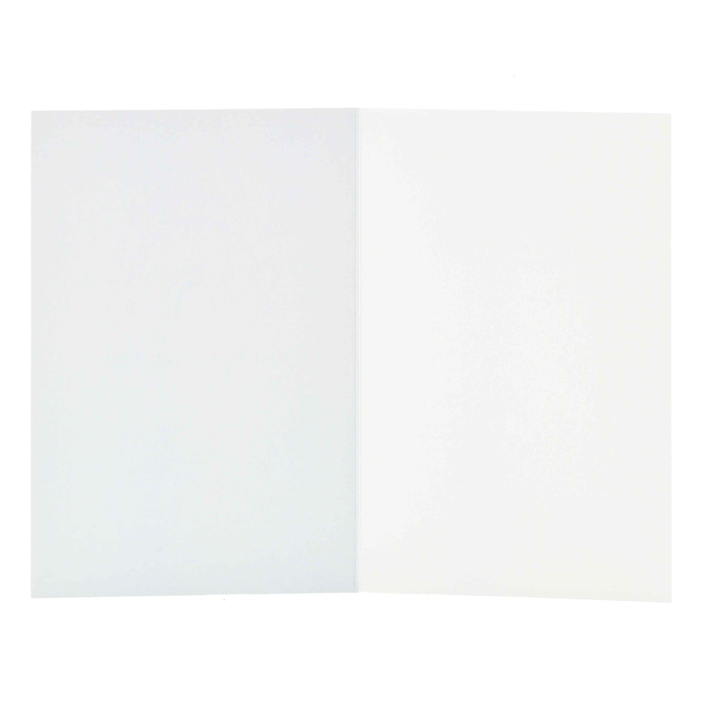 Signature Studio Greeting Card - Thinking Of You