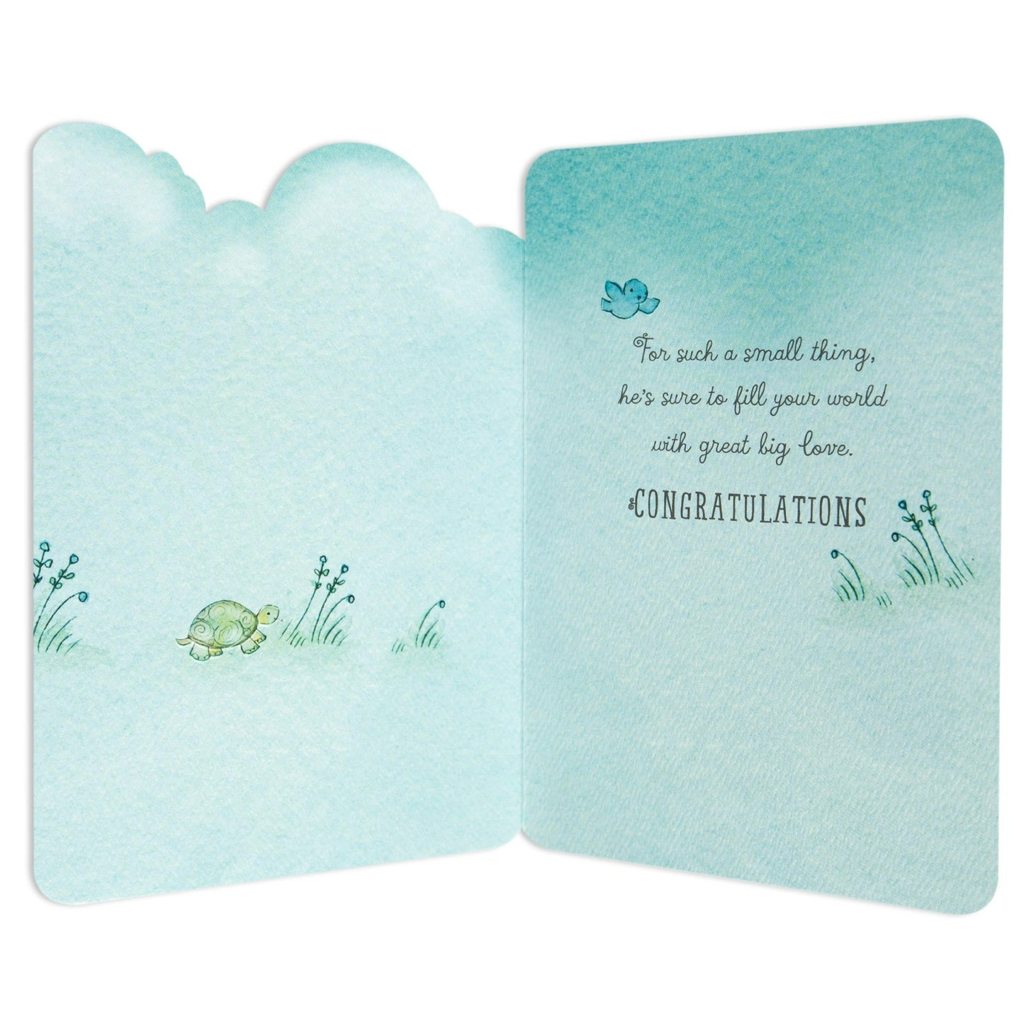 Sweet & special welcome baby boy congratulations card, inner illustration of turtle, bird, and floral details on textured card.