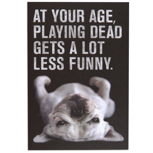 Playing Dead Dog Funny Birthday Card