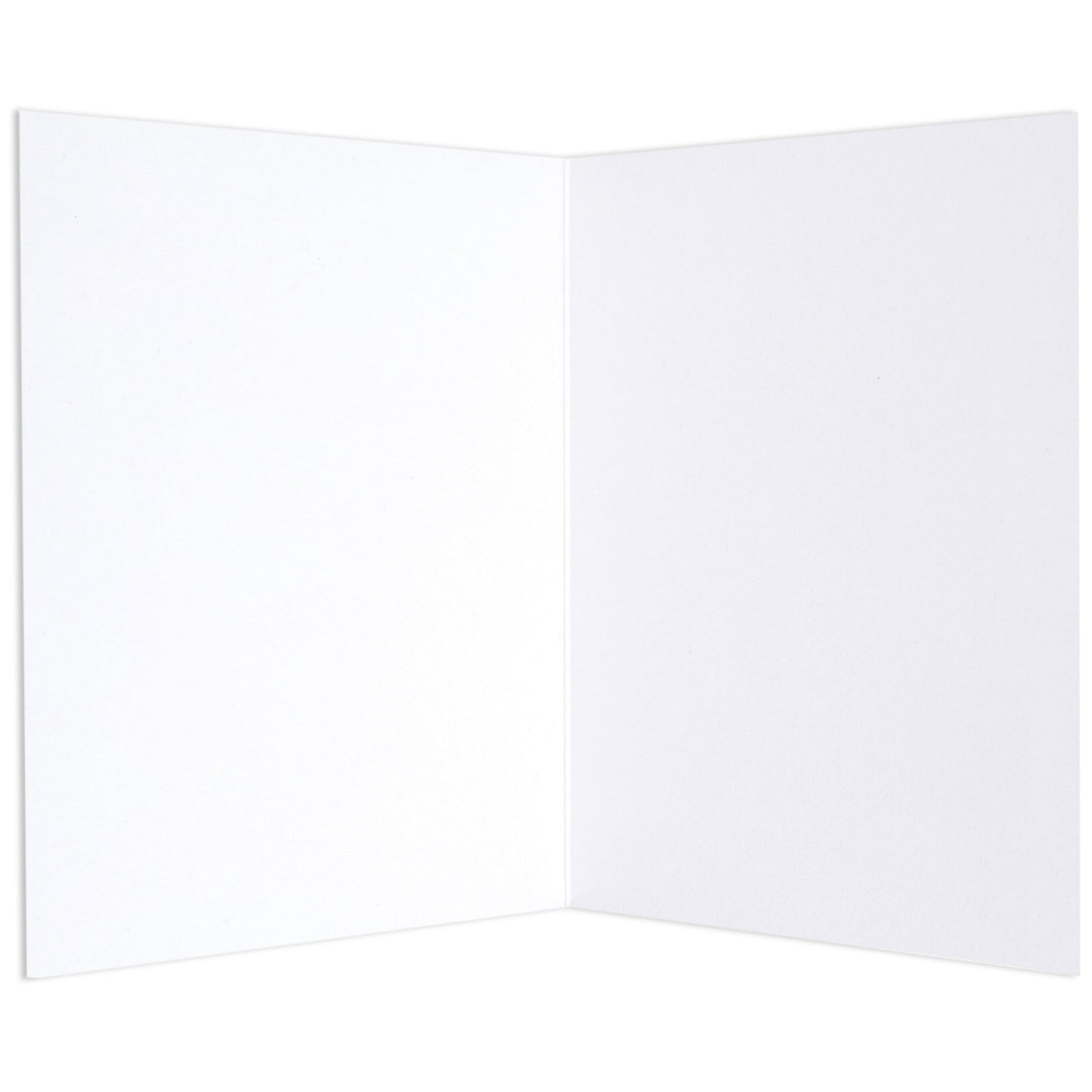 Playing Dead Dog Funny Birthday Card