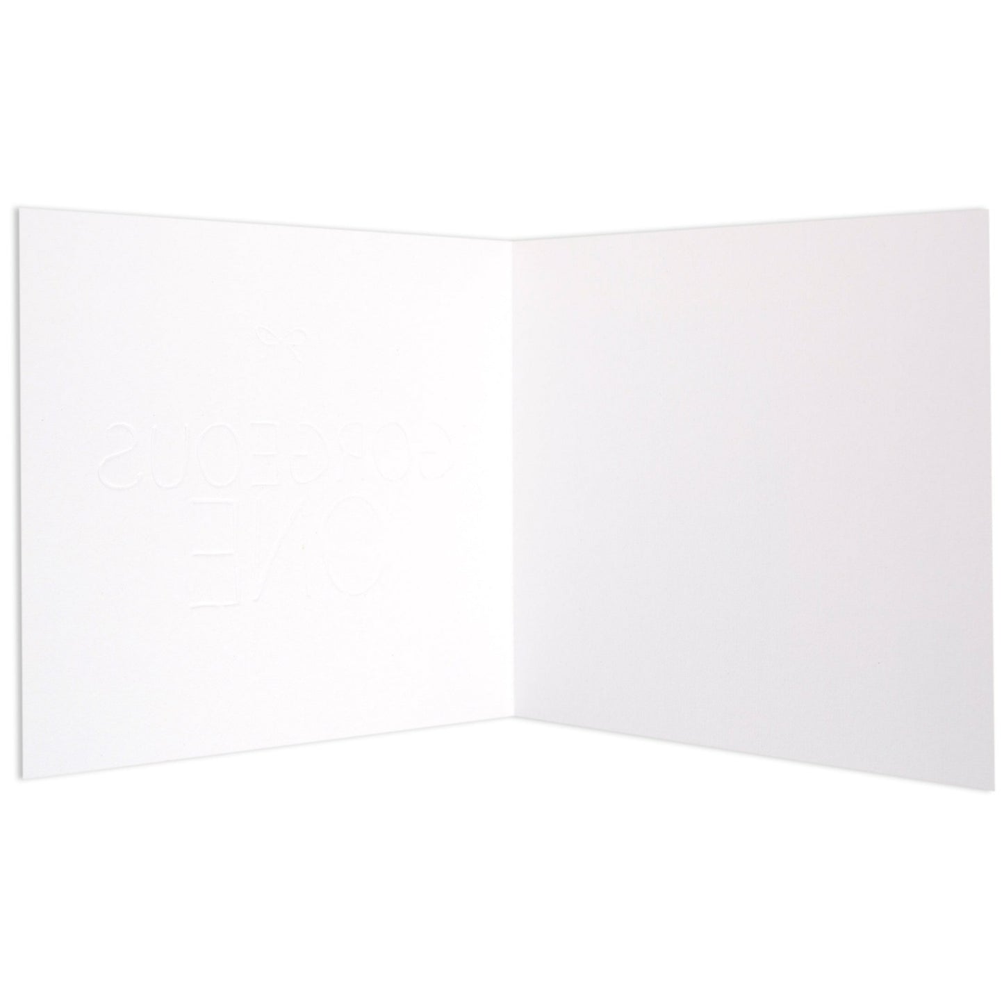 Gorgeous One Fun Birthday Card