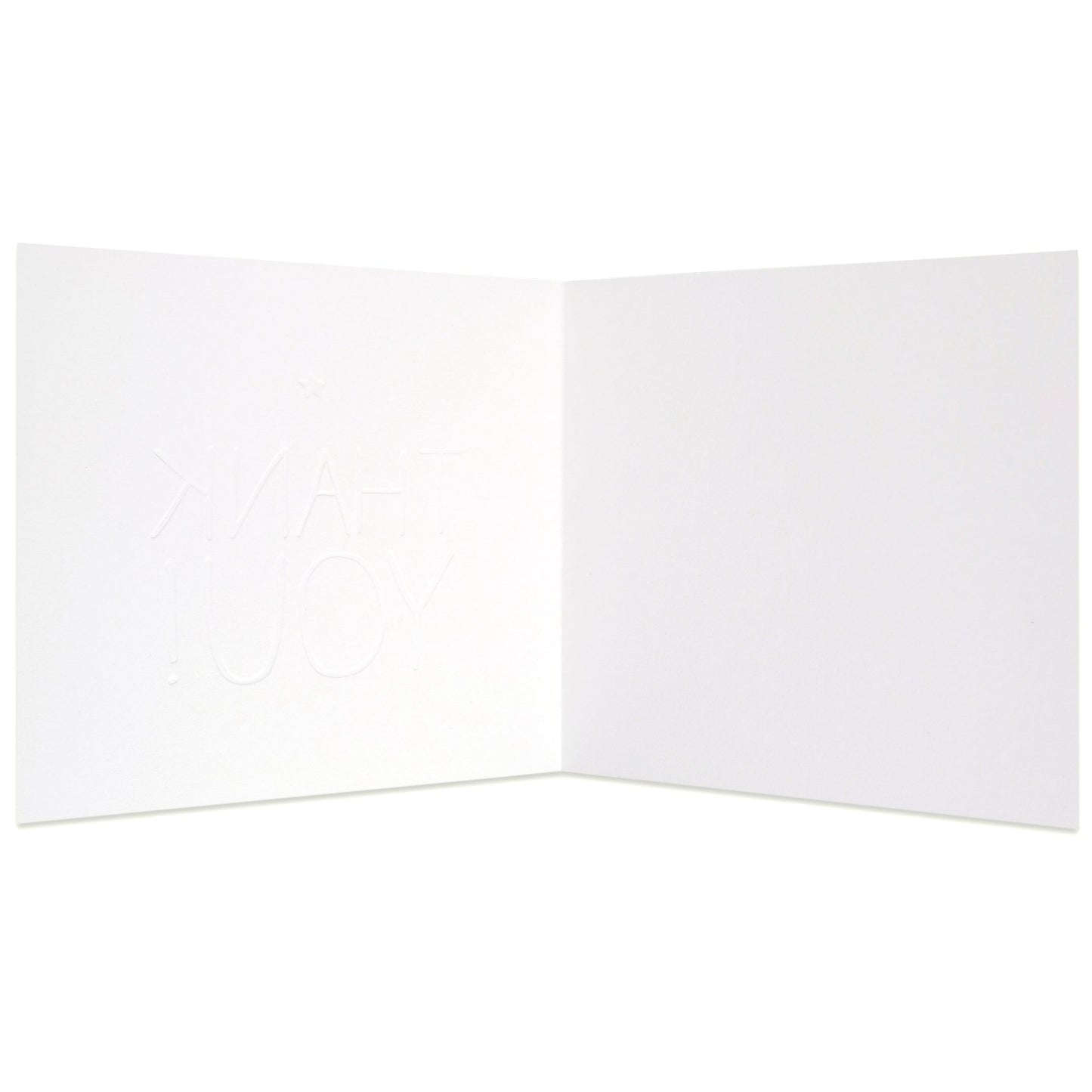 Really Big Thank You Sweet Blank Card