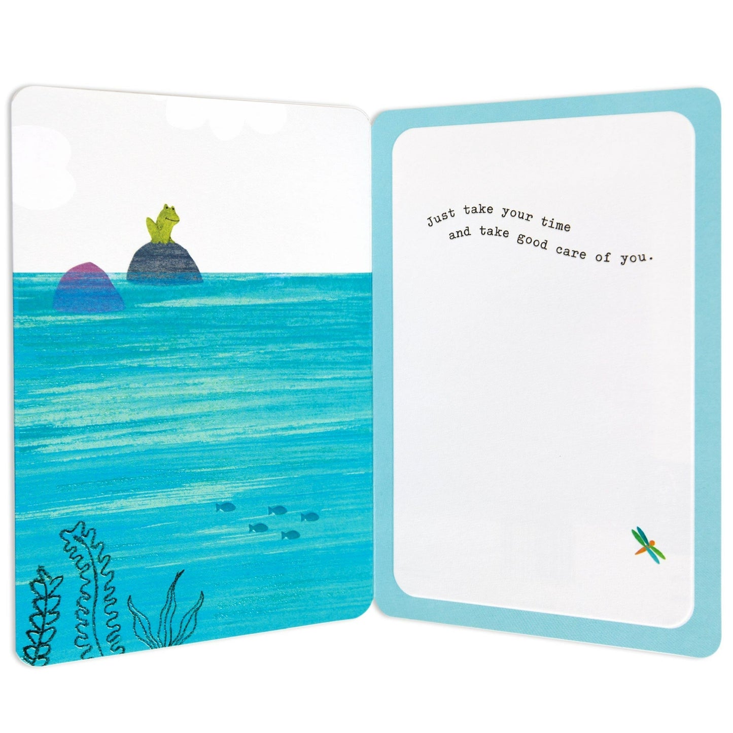 Kind & Sentimental Turtle Get Well Card