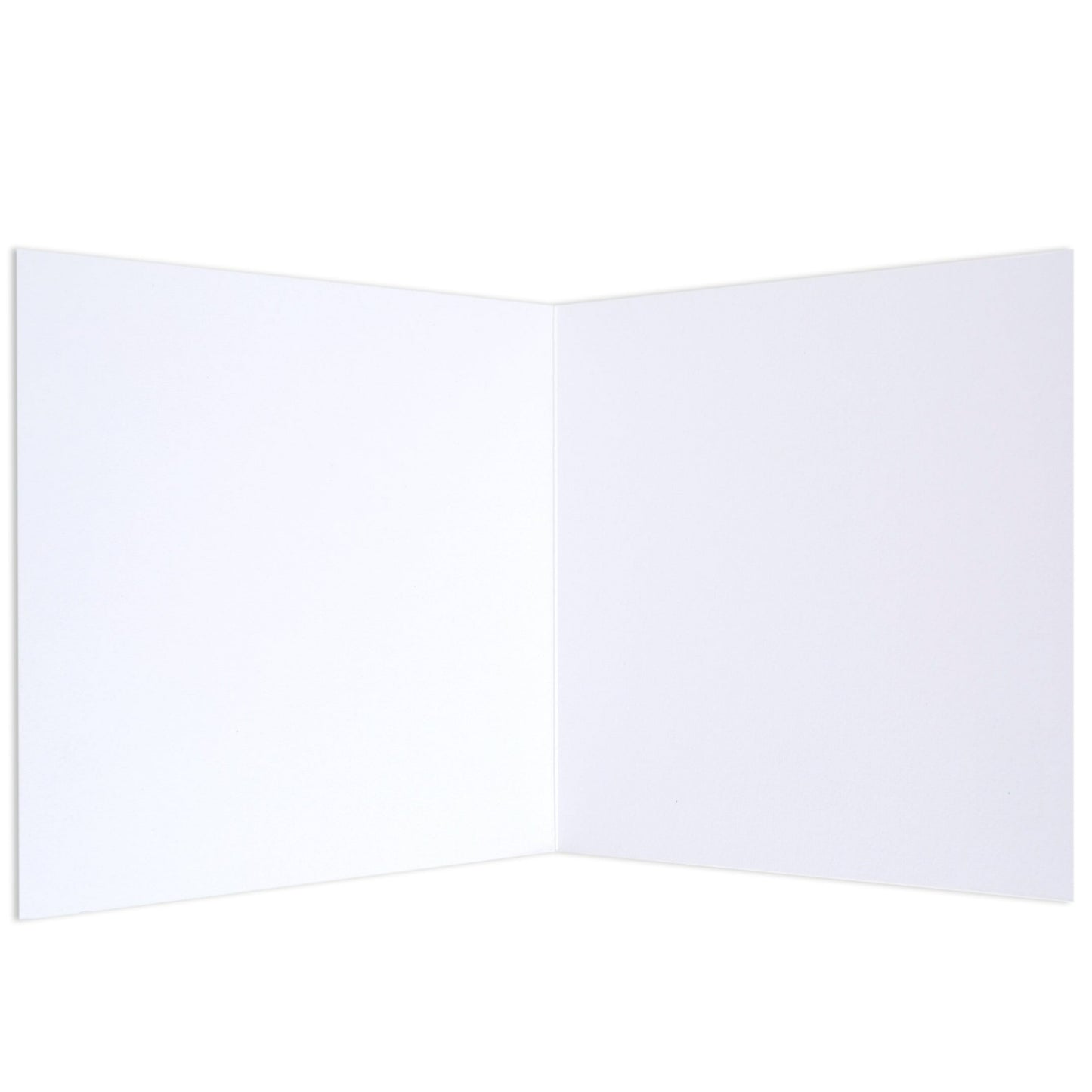 Indigenous Turtle by Ed Nullen Blank Card