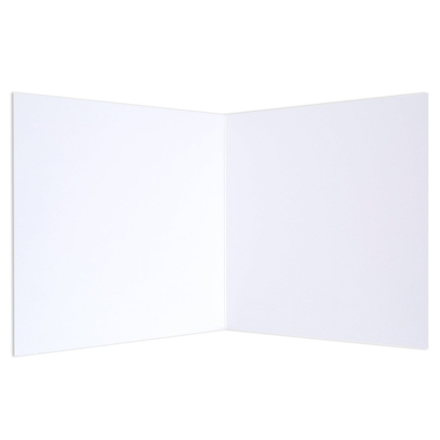 Colourful by Arkie The Label Blank Card