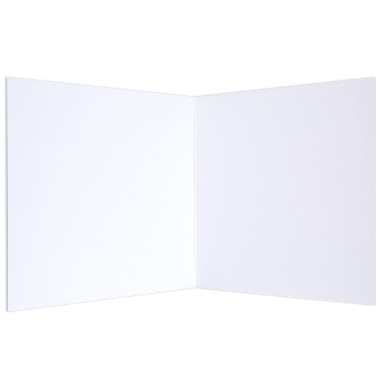 Reef From Above by Arkie The Label Blank Card