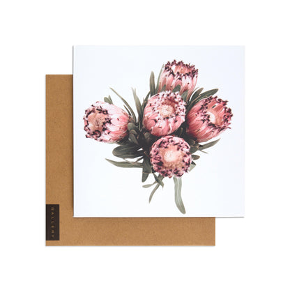 Protea by Donna Delaney Blank Card