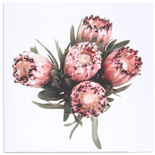 Protea by Donna Delaney Blank Card