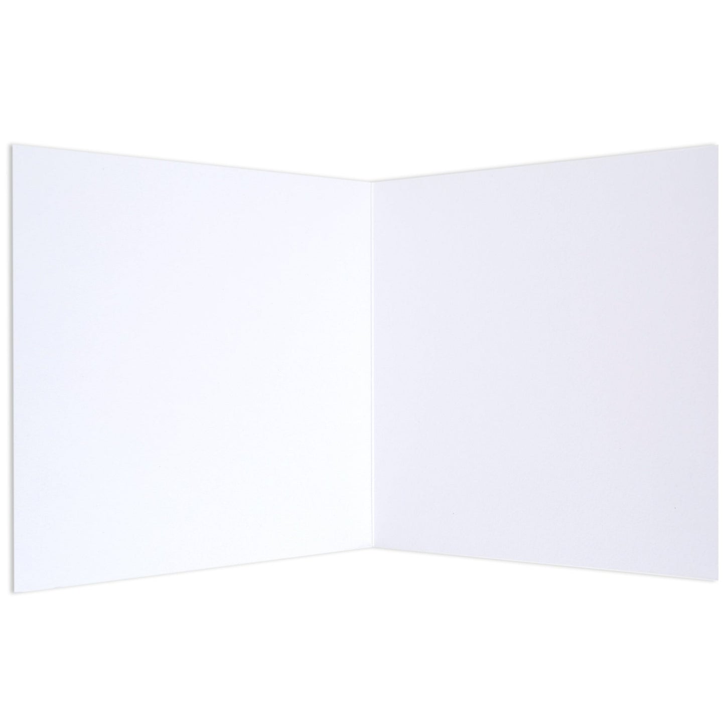 Protea by Donna Delaney Blank Card