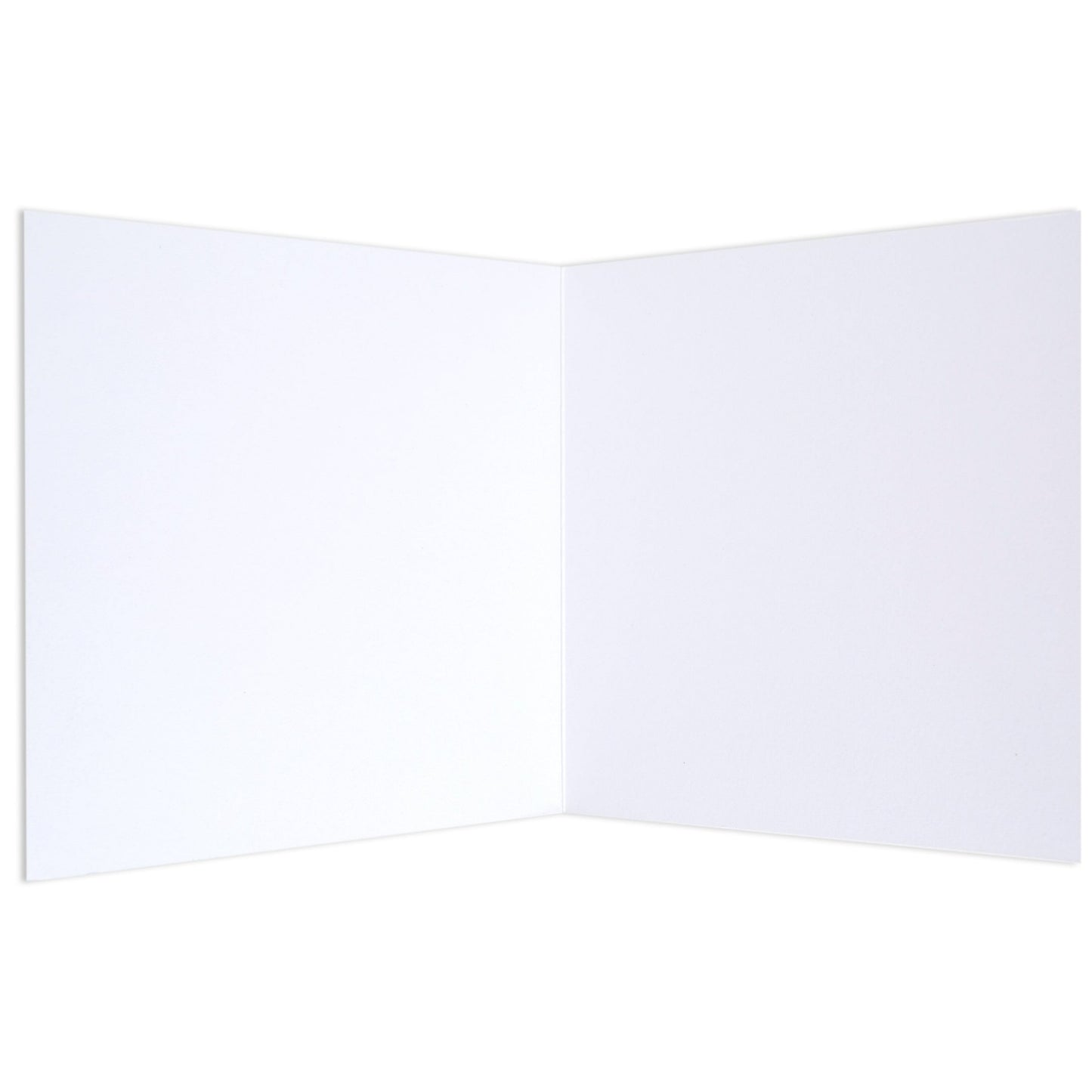 Green Koala by Dots By Donna blank card opened, showing empty white inside for personal message.