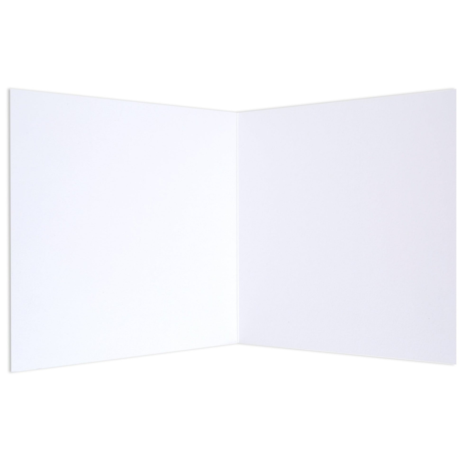 Green Koala by Dots By Donna blank card opened, showing empty white inside for personal message.