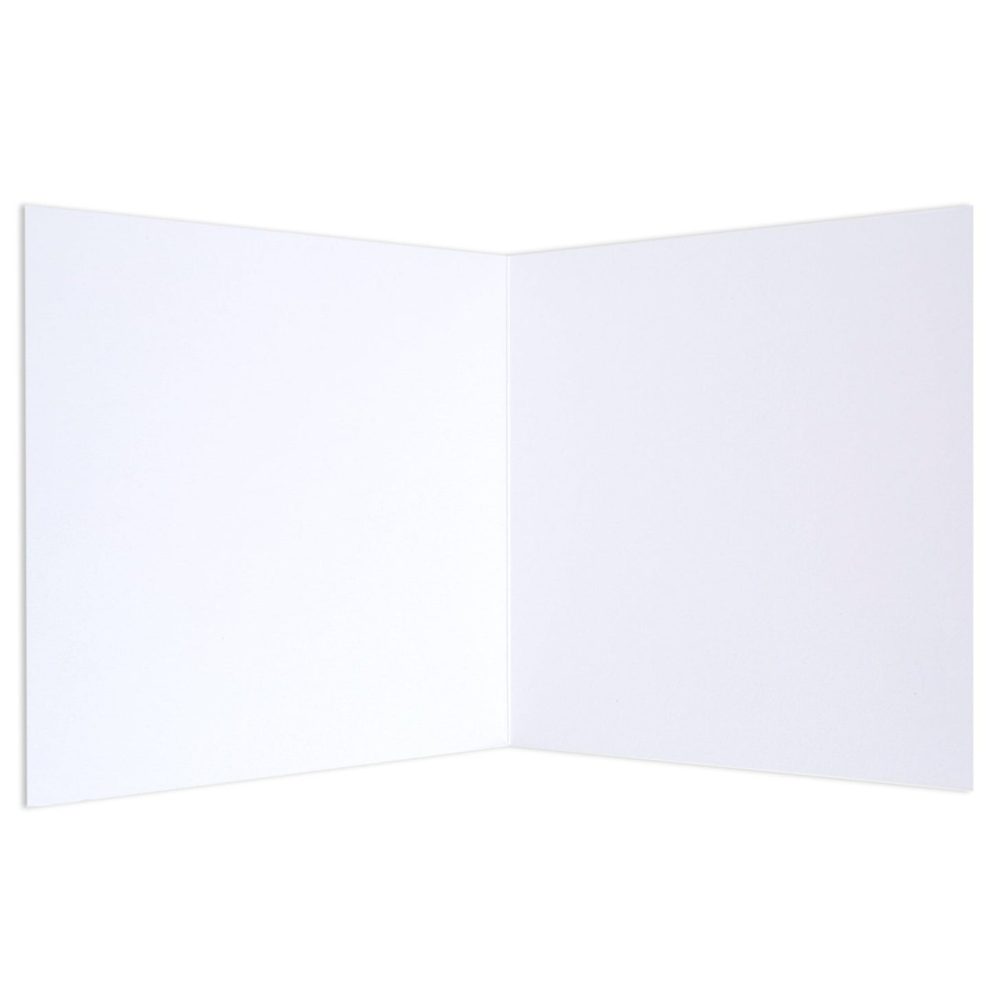 Bright Beautiful Floral Blank Card