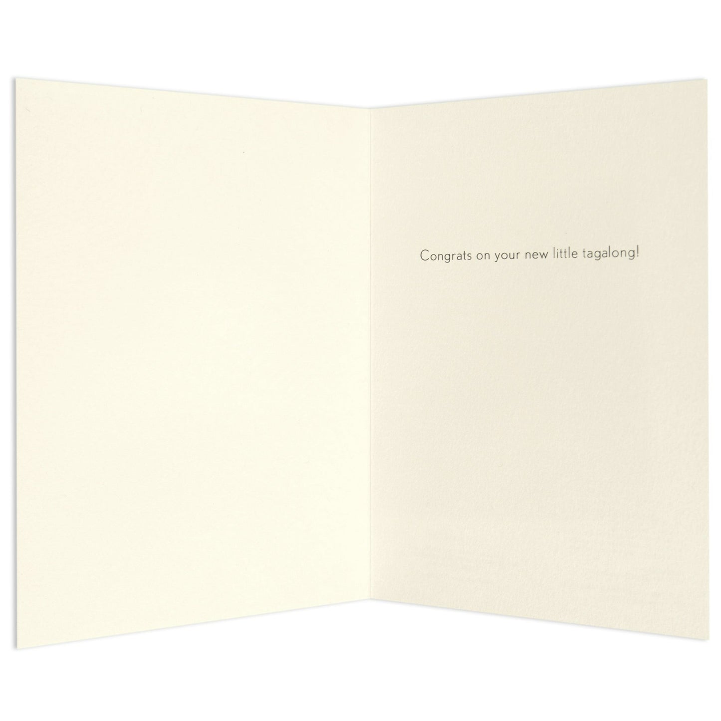 Duckling Baby Adorable Congratulations Card