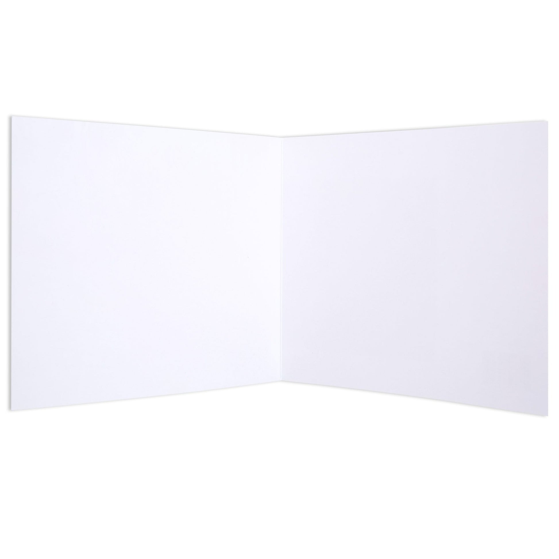 Abundant Foliage by Clair Bremner Blank Card, open flat view, featuring blank interior for personal messages.