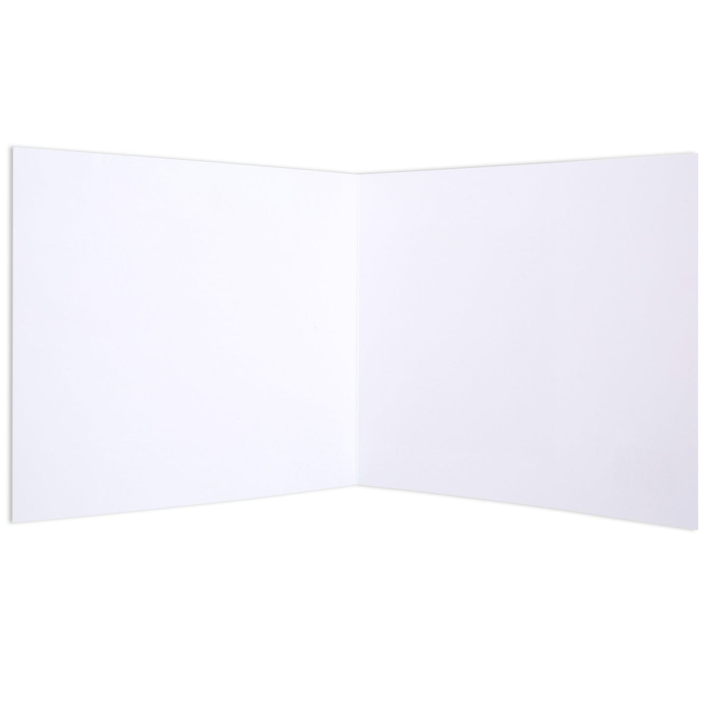 Kingsley by Xander Holliday Blank Card, white interior, blank space for personal message, open view showing inner page layout.