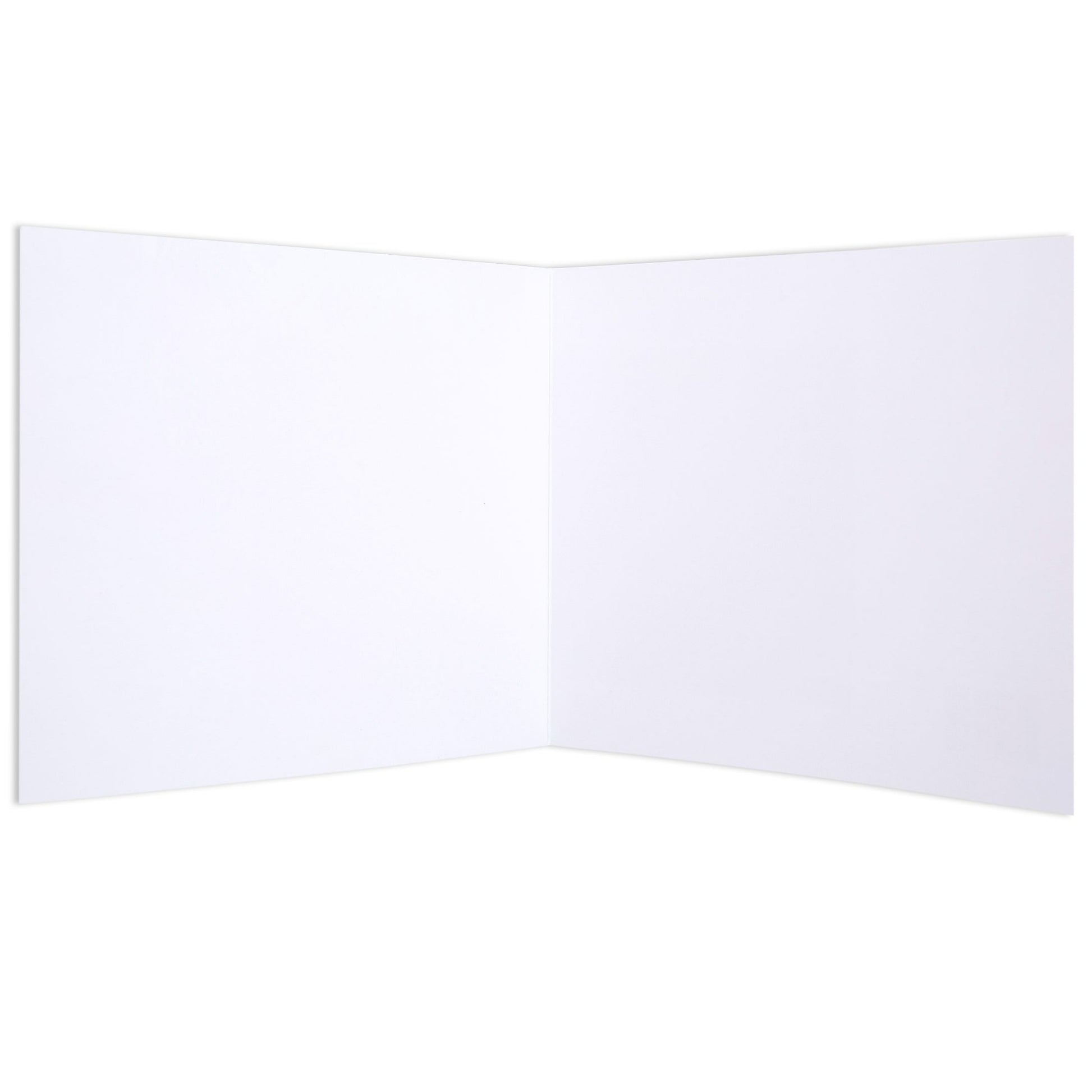 Kingsley by Xander Holliday Blank Card, white interior, blank space for personal message, open view showing inner page layout.