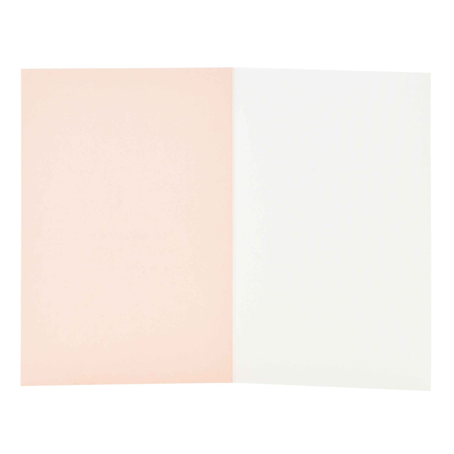 Signature Studio All Occasions Card - Pretty Potted Plant, open view showing pale pink and white blank inside for messages.