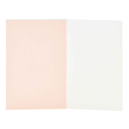 Signature Studio All Occasions Card - Pretty Potted Plant, open view showing pale pink and white blank inside for messages.