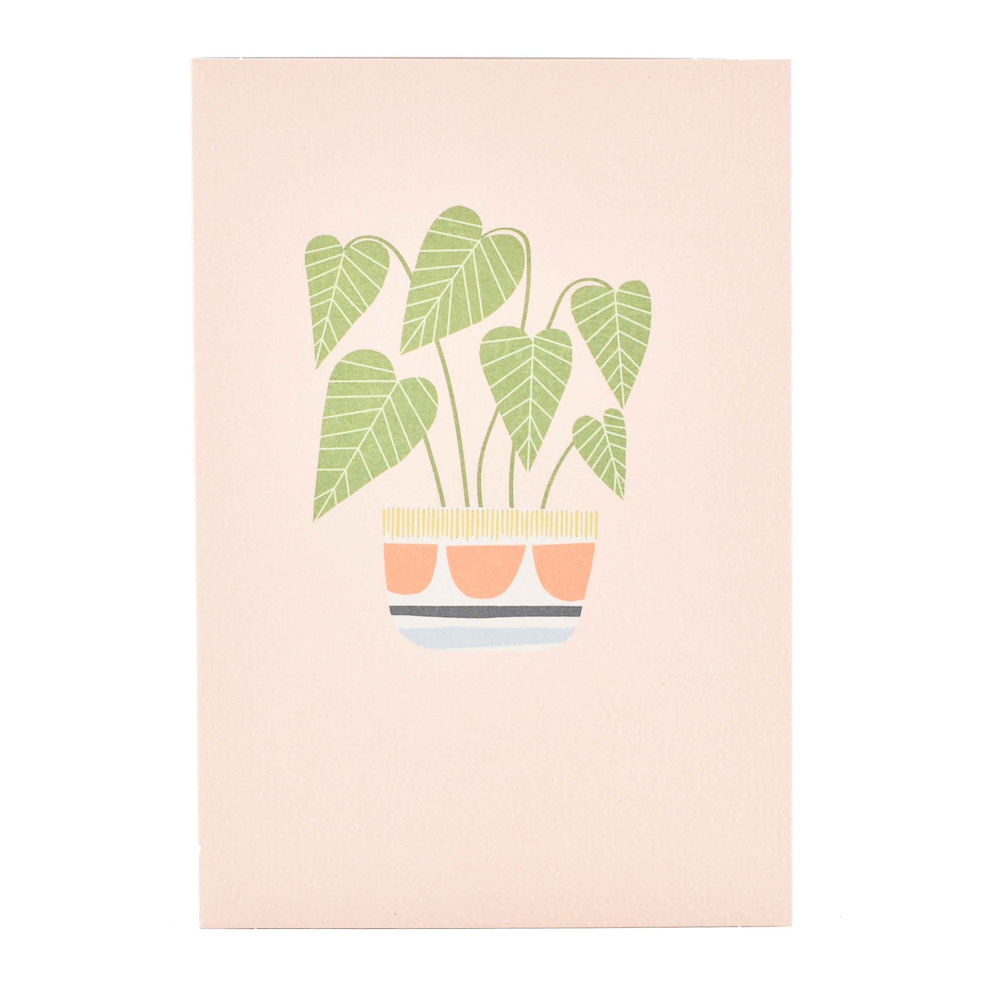Signature Studio All Occasions Card - Pretty Potted Plant featuring a colourful illustration of a potted plant against a soft pink background.