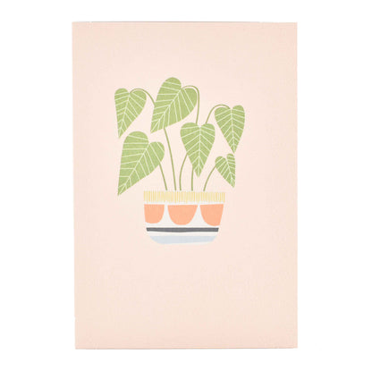 Signature Studio All Occasions Card - Pretty Potted Plant featuring a colourful illustration of a potted plant against a soft pink background.