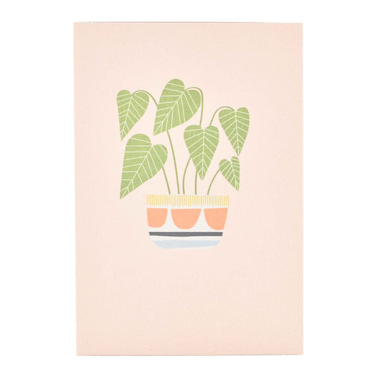 Signature Studio All Occasions Card - Pretty Potted Plant featuring a colourful illustration of a potted plant against a soft pink background.