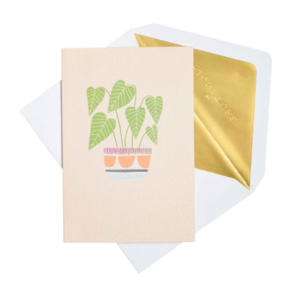 Signature Studio All Occasions Card - Pretty Potted Plant featuring a colourful potted plant illustration on a textured beige background.